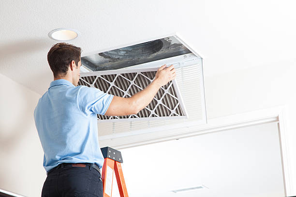 Best Air Quality Test  in Port Carbon, PA